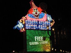 IMG_4441