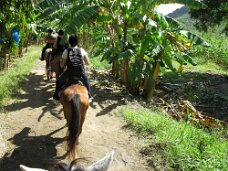 IMG_1114 Through banana plantations