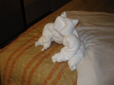 IMG_0918 Towel animals