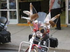 IMG_9335 Sturgis SD. 72th Annual Bike Rally