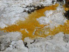 IMG_0009