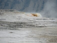 IMG_9566 Mammoth Hot Springs
