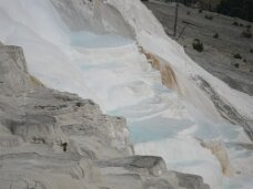 IMG_9575 Mammoth Hot Springs