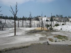 IMG_9591 Mammoth Hot Springs