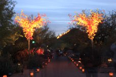 IMG_2714 Each night of Luminaria, the Garden came to life with the soft glow from more than 8,000 hand lit Luminaria bags, thousands of white twinkle lights and...