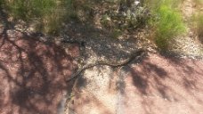 20160614_094151 Red Rock State Park
