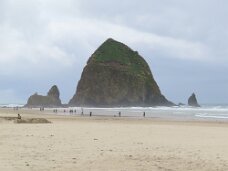 IMG_1101