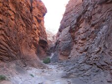 IMG_3642 Early morning hike into a side canyon.