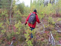 2024-09-06 06.36.40 null